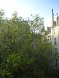 __Cour0 __Cour0