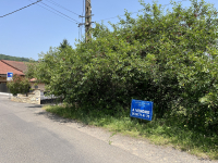 IMG_9955 - Copie 1